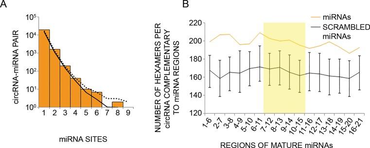 https://cdn.ncbi.nlm.nih.gov/pmc/blobs/3b6a/4756822/d3603453fd9a/gkv1367fig5.jpg