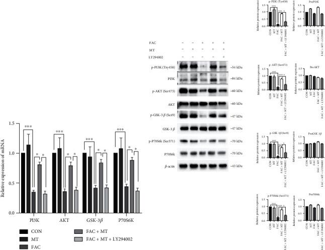https://cdn.ncbi.nlm.nih.gov/pmc/blobs/3b6a/9873465/57899e500276/OMCL2023-7718155.005.jpg