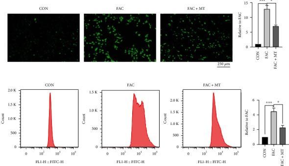 https://cdn.ncbi.nlm.nih.gov/pmc/blobs/3b6a/9873465/86463ddff4be/OMCL2023-7718155.002.jpg