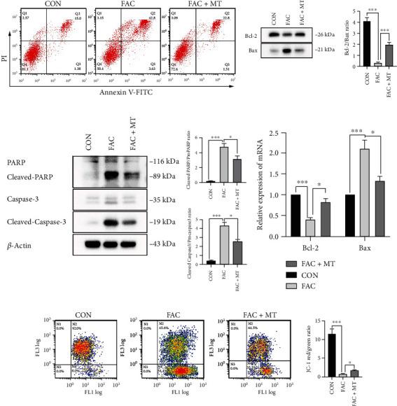 https://cdn.ncbi.nlm.nih.gov/pmc/blobs/3b6a/9873465/89aab4ef1900/OMCL2023-7718155.004.jpg