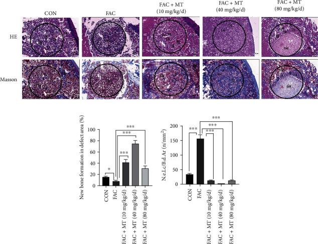https://cdn.ncbi.nlm.nih.gov/pmc/blobs/3b6a/9873465/d46a63c0ceee/OMCL2023-7718155.006.jpg