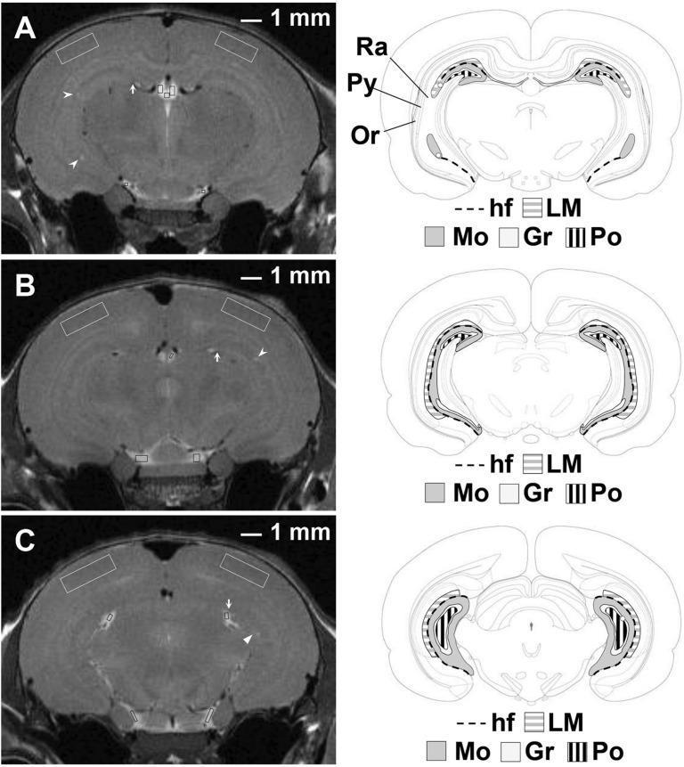 https://cdn.ncbi.nlm.nih.gov/pmc/blobs/3b6d/5600044/133c6603f8a0/mrms-16-054-g1.jpg