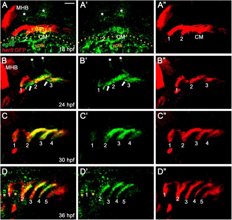 https://cdn.ncbi.nlm.nih.gov/pmc/blobs/3b6e/8567925/683a0f760edc/TACS_A_1970018_F0001_OC.jpg