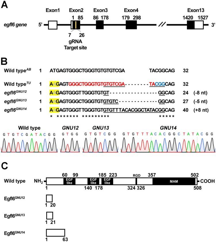 https://cdn.ncbi.nlm.nih.gov/pmc/blobs/3b6e/8567925/8ea2d538d432/TACS_A_1970018_F0002_OC.jpg