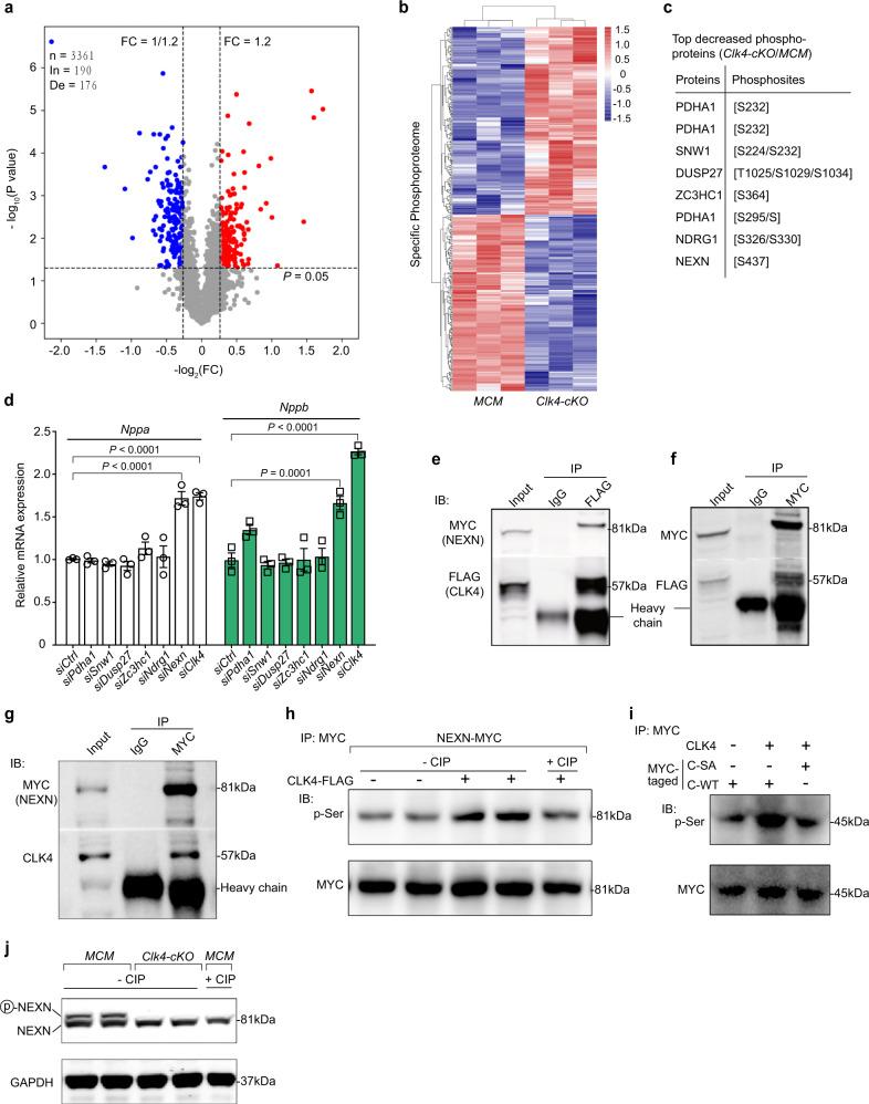 https://cdn.ncbi.nlm.nih.gov/pmc/blobs/3b6e/9338968/a7591036821f/41467_2022_31996_Fig4_HTML.jpg