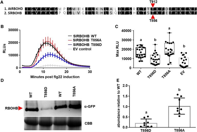 https://cdn.ncbi.nlm.nih.gov/pmc/blobs/3b6f/12124405/ce3378a6e1d5/koaf049f2.jpg