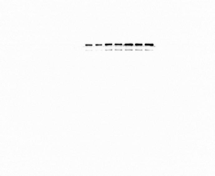 https://cdn.ncbi.nlm.nih.gov/pmc/blobs/3b70/11154627/cc924bc8ef98/mmcfigs10.jpg