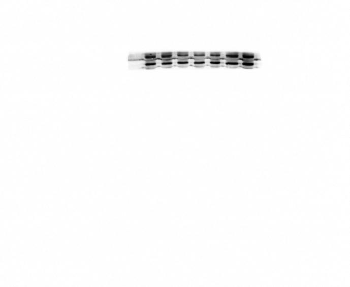 https://cdn.ncbi.nlm.nih.gov/pmc/blobs/3b70/11154627/d9e0ffeb9fcf/mmcfigs3.jpg