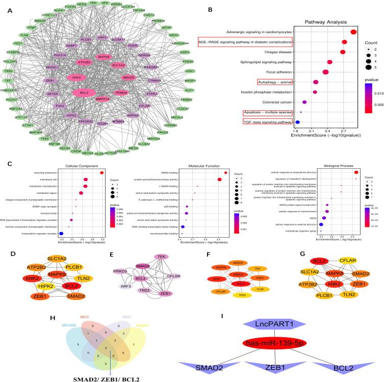 https://cdn.ncbi.nlm.nih.gov/pmc/blobs/3b72/10757812/244dbfa4d093/DMSO-16-4215-g0006.jpg