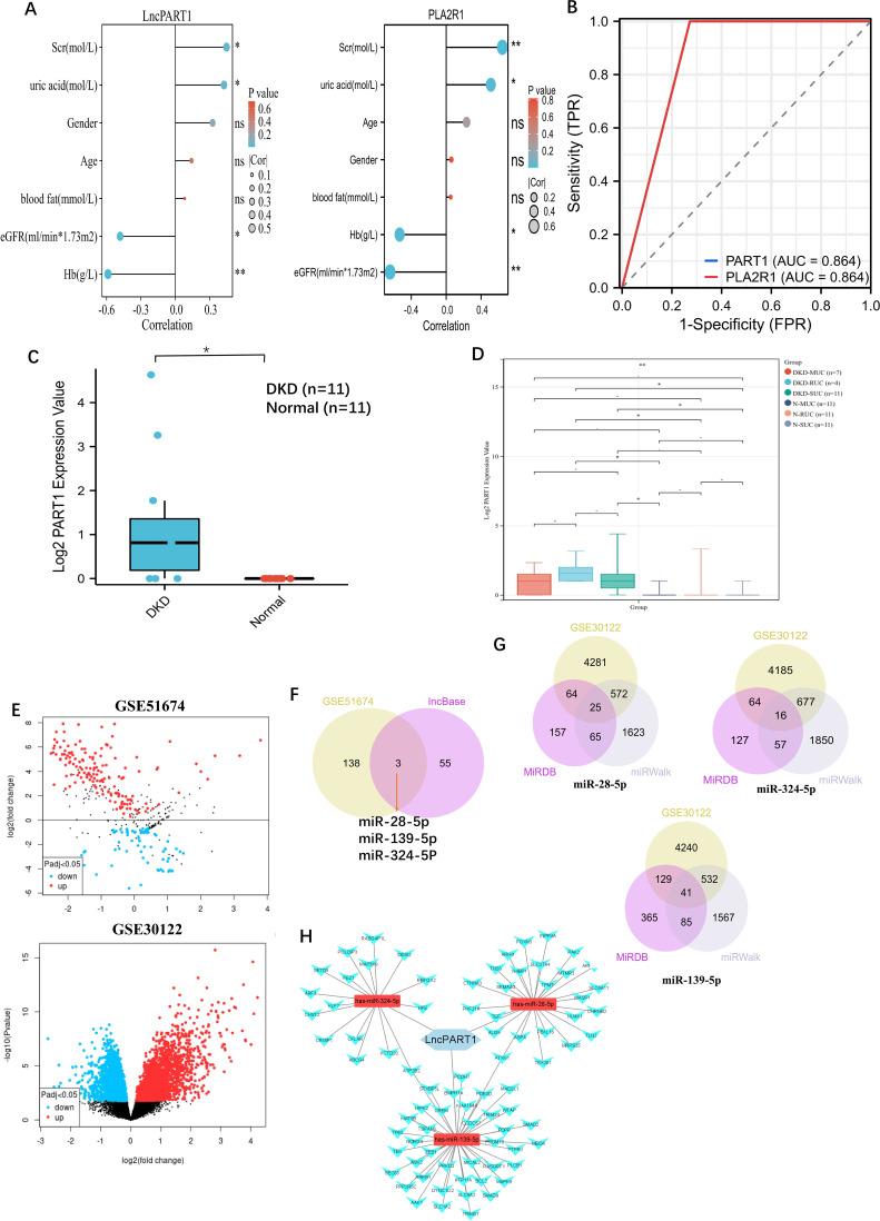 https://cdn.ncbi.nlm.nih.gov/pmc/blobs/3b72/10757812/e8226d9bef26/DMSO-16-4215-g0005.jpg
