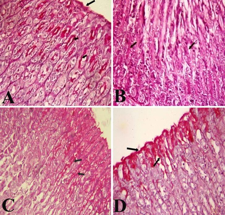 https://cdn.ncbi.nlm.nih.gov/pmc/blobs/3b72/7715057/5df5eeb039e1/gr3.jpg