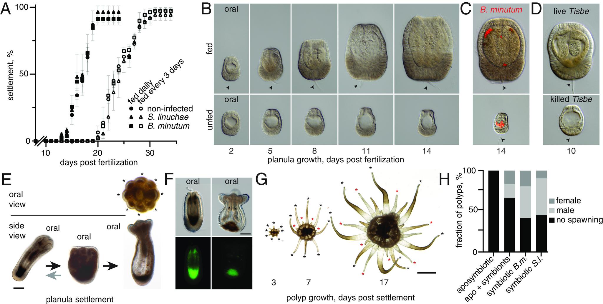 https://cdn.ncbi.nlm.nih.gov/pmc/blobs/3b73/10556626/d16afa8848fb/pnas.2311872120fig02.jpg