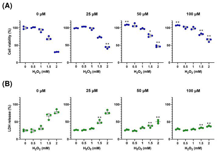 https://cdn.ncbi.nlm.nih.gov/pmc/blobs/3b73/10671709/1de7da37d0ae/ijms-24-16532-g005.jpg