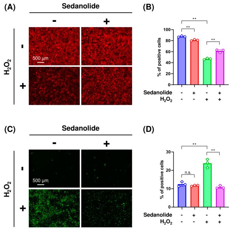 https://cdn.ncbi.nlm.nih.gov/pmc/blobs/3b73/10671709/57619b8cd88b/ijms-24-16532-g008.jpg