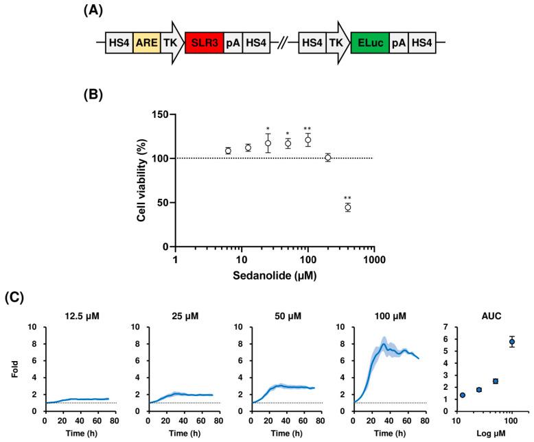 https://cdn.ncbi.nlm.nih.gov/pmc/blobs/3b73/10671709/a7f602f9a71c/ijms-24-16532-g002.jpg