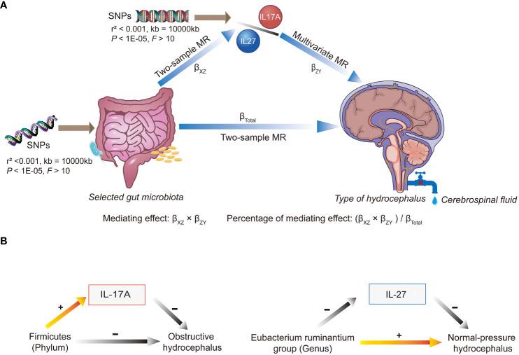 https://cdn.ncbi.nlm.nih.gov/pmc/blobs/3b74/11284128/bc2737897990/fimmu-15-1372051-g002.jpg