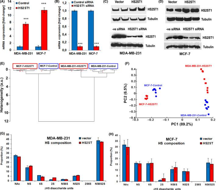 https://cdn.ncbi.nlm.nih.gov/pmc/blobs/3b74/7419026/f63154df321b/CAS-111-2907-g001.jpg