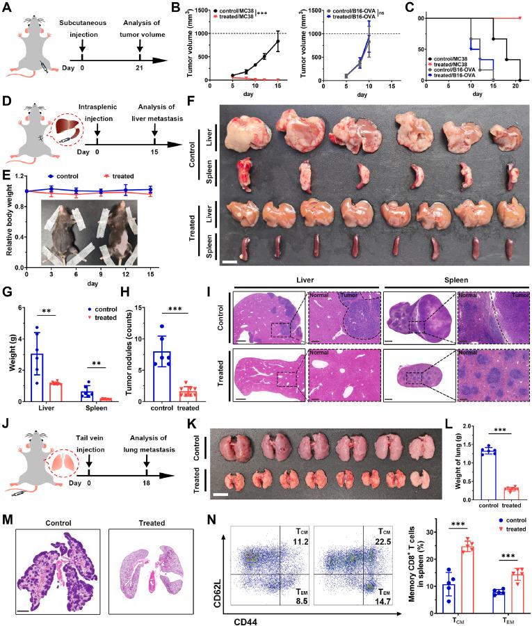 https://cdn.ncbi.nlm.nih.gov/pmc/blobs/3b75/12348682/0537d7bef391/gr5.jpg