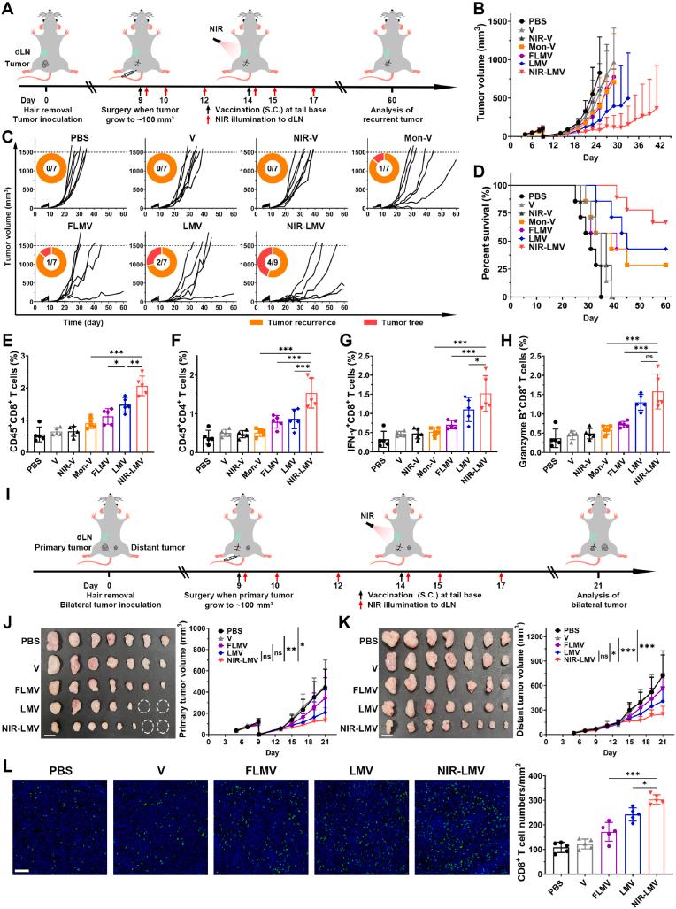 https://cdn.ncbi.nlm.nih.gov/pmc/blobs/3b75/12348682/64685f5cce34/gr4.jpg