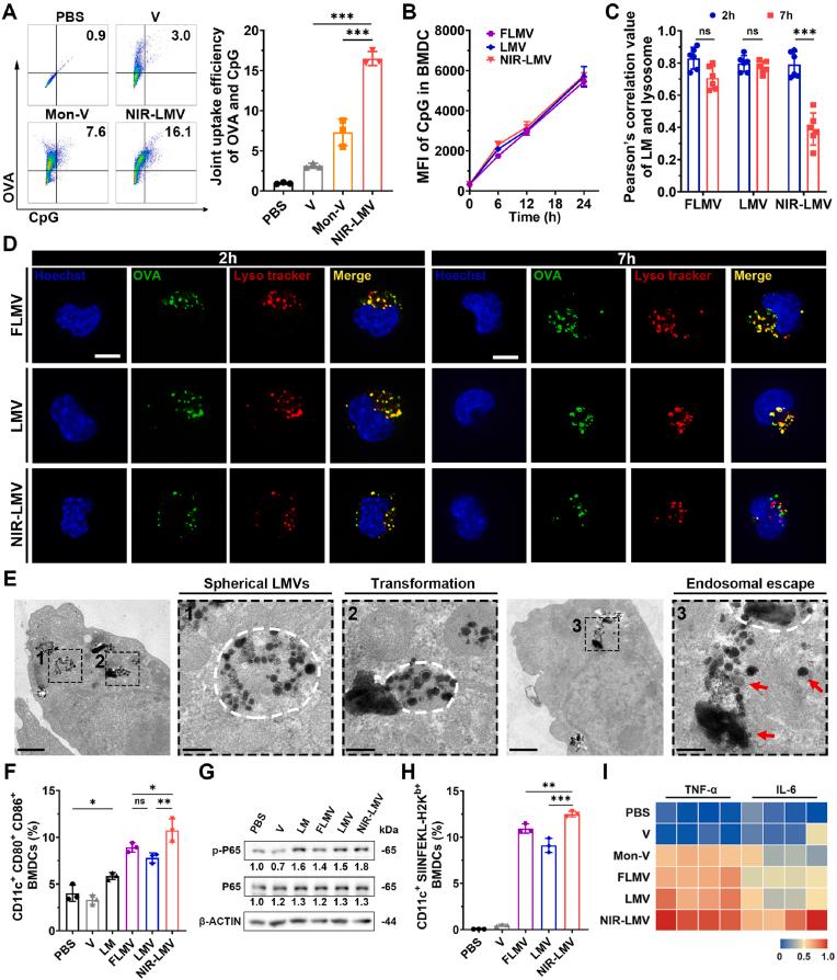 https://cdn.ncbi.nlm.nih.gov/pmc/blobs/3b75/12348682/e6d6ef42b117/gr2.jpg
