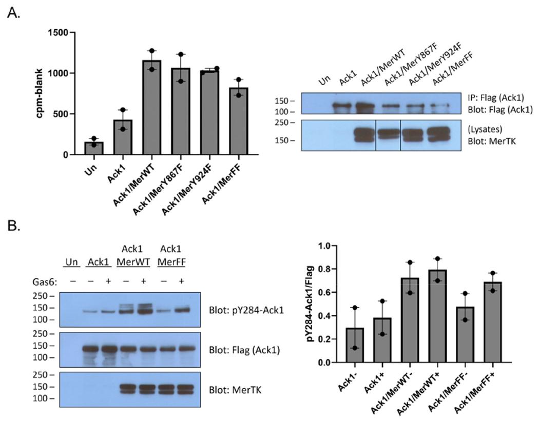 https://cdn.ncbi.nlm.nih.gov/pmc/blobs/3b77/10473914/892cab1f6733/nihms-1926530-f0002.jpg