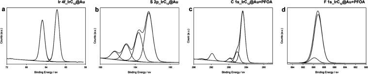 https://cdn.ncbi.nlm.nih.gov/pmc/blobs/3b78/10831797/cbcf9290e367/ac3c04289_0003.jpg