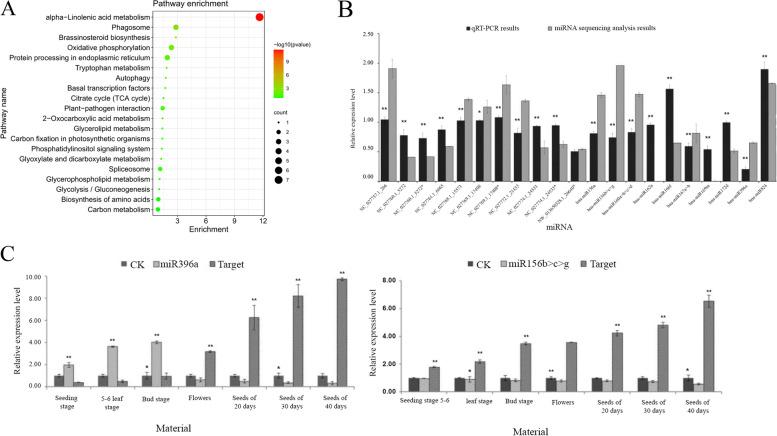 https://cdn.ncbi.nlm.nih.gov/pmc/blobs/3b7b/9003975/20f3adf71b07/12870_2022_3549_Fig2_HTML.jpg