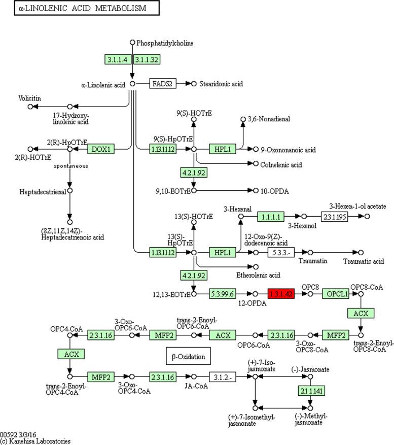 https://cdn.ncbi.nlm.nih.gov/pmc/blobs/3b7b/9003975/eaccb459f579/12870_2022_3549_Fig6_HTML.jpg