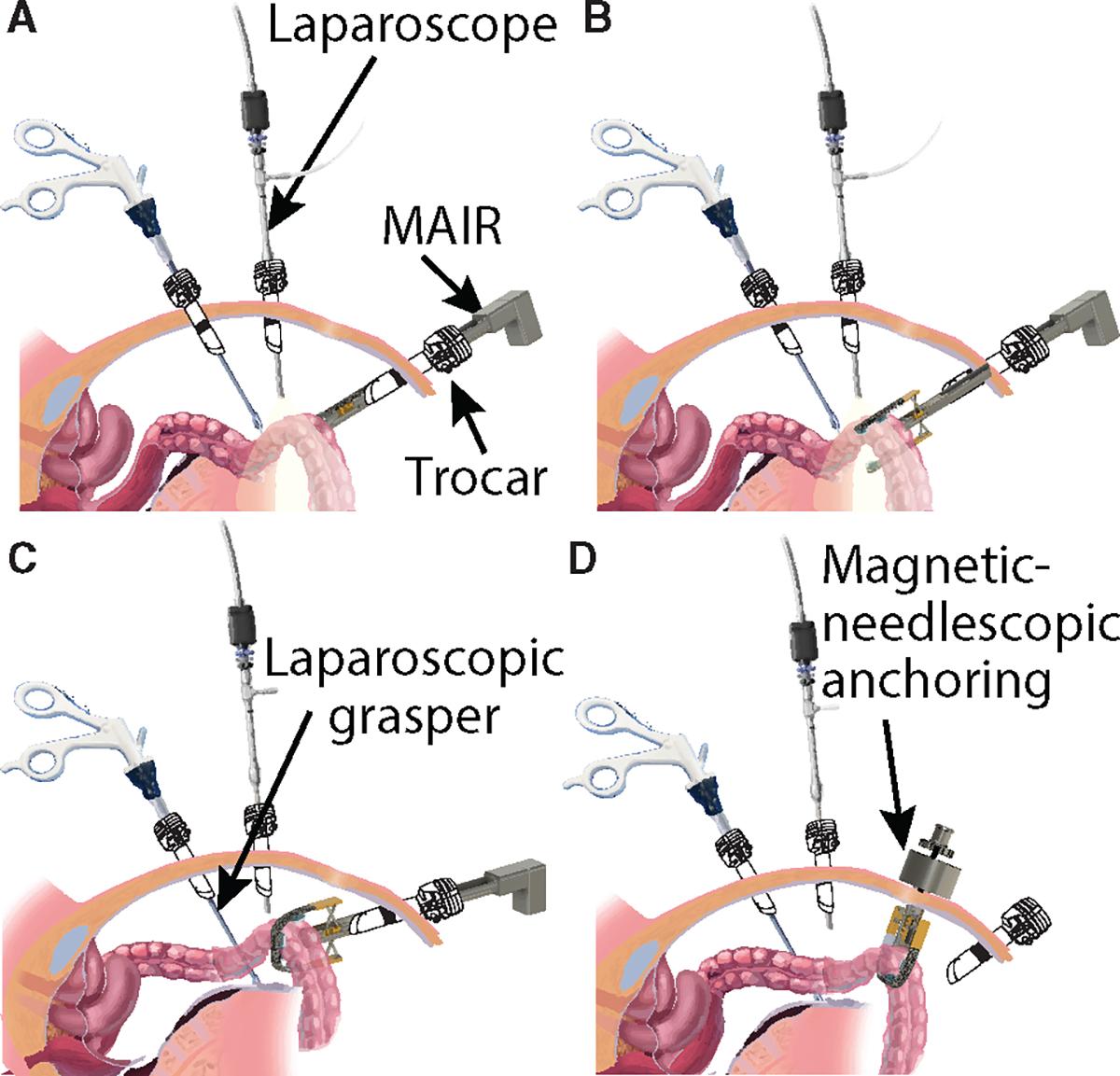 https://cdn.ncbi.nlm.nih.gov/pmc/blobs/3b7d/12309402/643dcaa881cc/nihms-2032241-f0002.jpg
