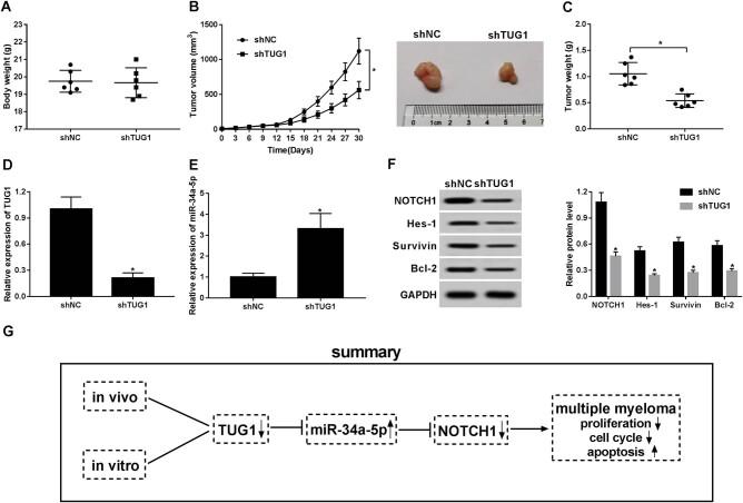 https://cdn.ncbi.nlm.nih.gov/pmc/blobs/3b81/7874539/020da3d5670d/j_biol-2020-0025-fig006.jpg