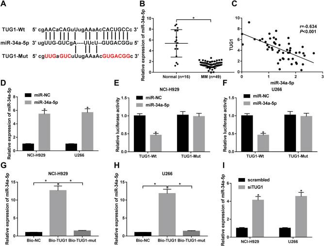 https://cdn.ncbi.nlm.nih.gov/pmc/blobs/3b81/7874539/09b625562a32/j_biol-2020-0025-fig003.jpg