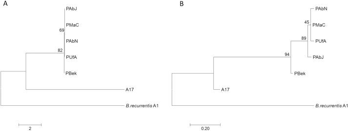 https://cdn.ncbi.nlm.nih.gov/pmc/blobs/3b84/5612729/987a3188c31b/pntd.0005865.g001.jpg