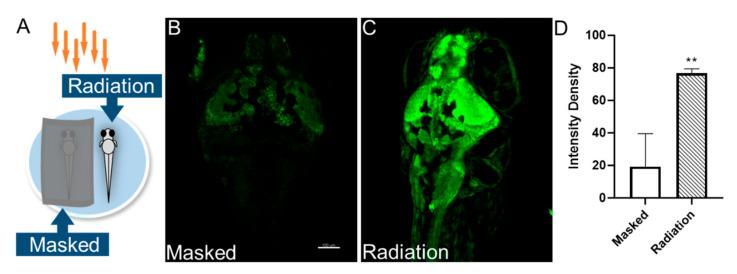 https://cdn.ncbi.nlm.nih.gov/pmc/blobs/3b86/10537331/5bf6967ab032/sensors-23-07689-g004.jpg