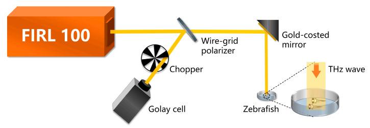 https://cdn.ncbi.nlm.nih.gov/pmc/blobs/3b86/10537331/68db0ff22033/sensors-23-07689-g001.jpg