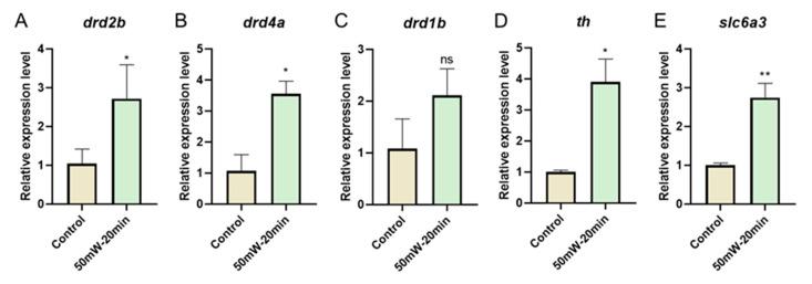 https://cdn.ncbi.nlm.nih.gov/pmc/blobs/3b86/10537331/f4fc0ca09891/sensors-23-07689-g005.jpg