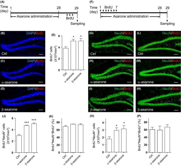 https://cdn.ncbi.nlm.nih.gov/pmc/blobs/3b87/4568966/5598343740ee/acel0014-0784-f5.jpg
