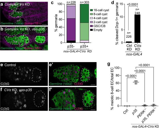 https://cdn.ncbi.nlm.nih.gov/pmc/blobs/3b87/9901744/21096de18b71/pgen.1010610.g006.jpg