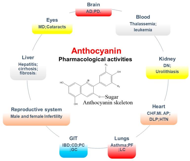 https://cdn.ncbi.nlm.nih.gov/pmc/blobs/3b88/6628002/6d115009ff05/nutrients-11-01195-g005.jpg