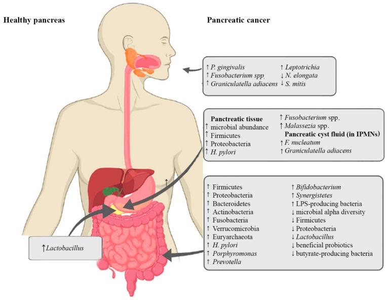 https://cdn.ncbi.nlm.nih.gov/pmc/blobs/3b88/8658013/77e6d065ee2f/ijms-22-12978-g002.jpg