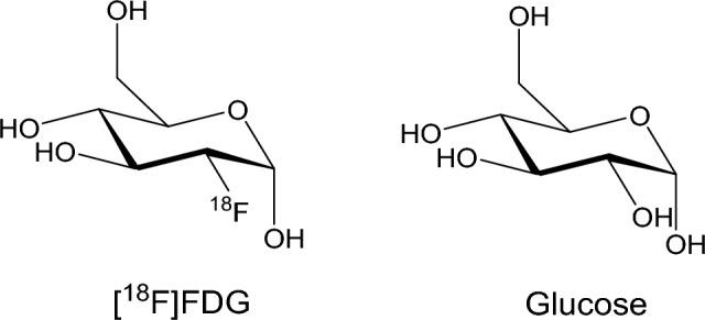https://cdn.ncbi.nlm.nih.gov/pmc/blobs/3b89/11310295/ed3435e9bf40/11064_2024_4178_Fig1_HTML.jpg