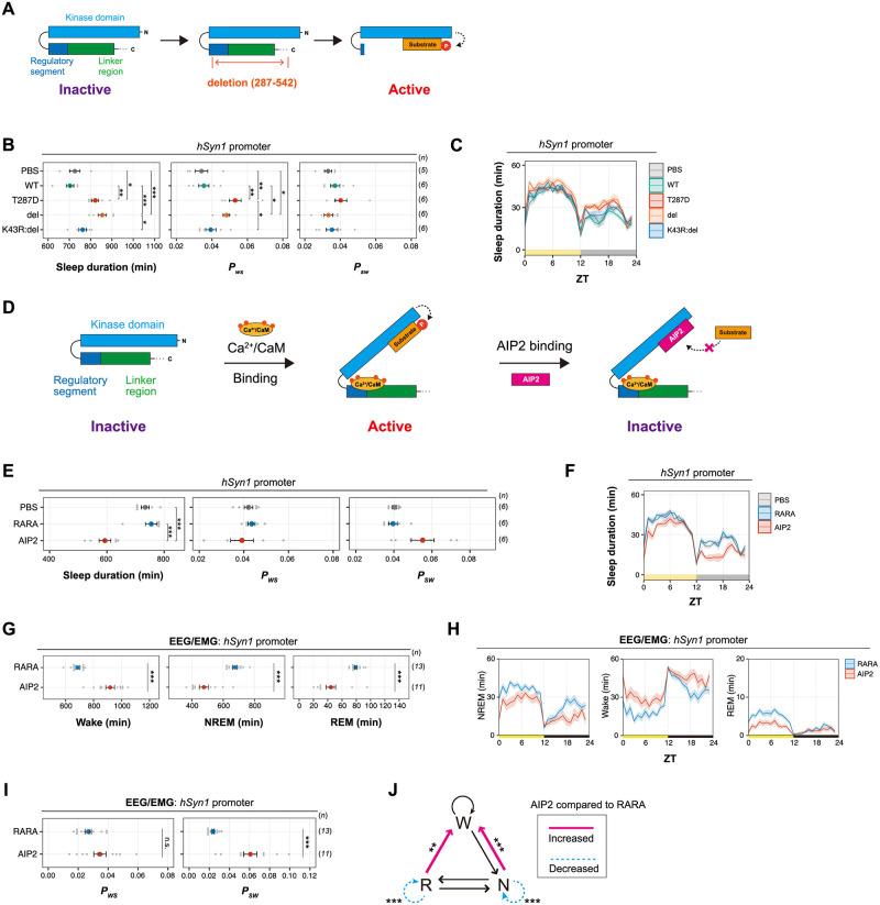 https://cdn.ncbi.nlm.nih.gov/pmc/blobs/3b89/9531794/fed1004d55f3/pbio.3001813.g002.jpg