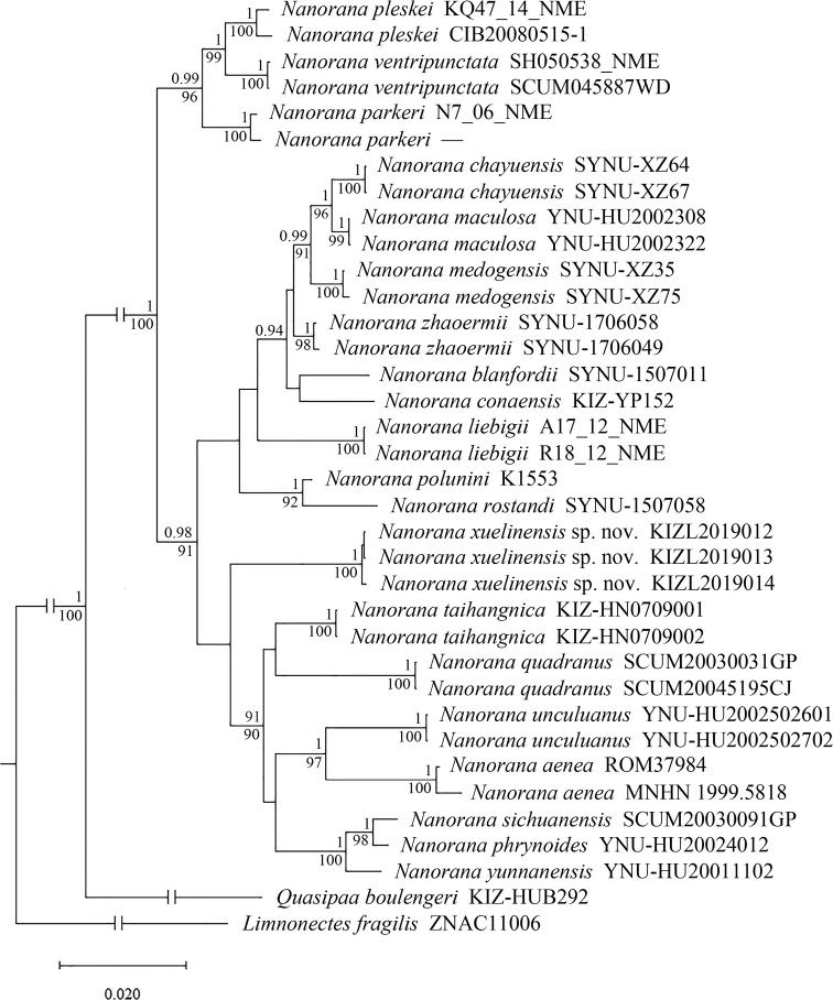 https://cdn.ncbi.nlm.nih.gov/pmc/blobs/3b8b/8280097/b84d3c72af77/zookeys-1048-049-g001.jpg