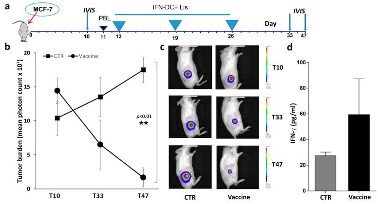 https://cdn.ncbi.nlm.nih.gov/pmc/blobs/3b8c/11435915/12aef3653d27/vaccines-12-01058-g002.jpg