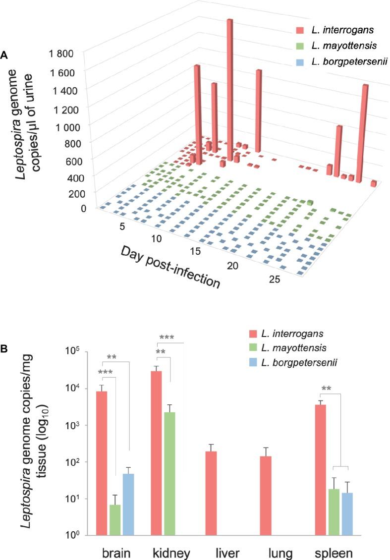https://cdn.ncbi.nlm.nih.gov/pmc/blobs/3b8d/6421516/cd5d9bb85edb/fmicb-10-00382-g002.jpg