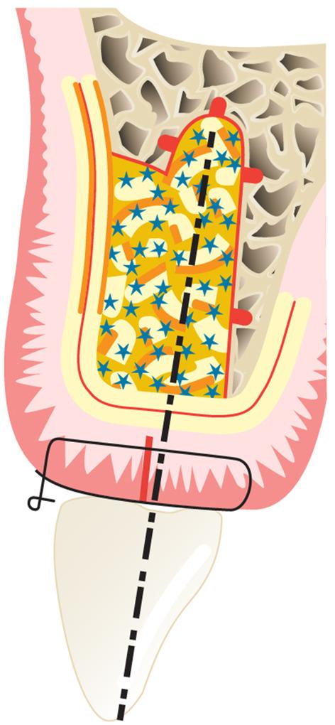 https://cdn.ncbi.nlm.nih.gov/pmc/blobs/3b8f/11808411/24008a0a5302/PRD-97-420-g012.jpg