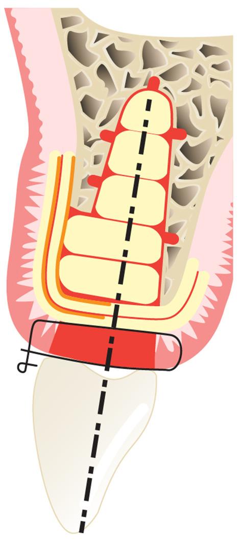 https://cdn.ncbi.nlm.nih.gov/pmc/blobs/3b8f/11808411/4c908c380840/PRD-97-420-g002.jpg