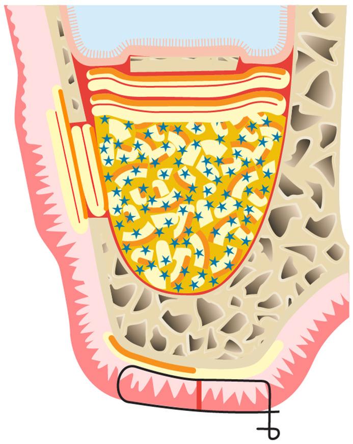 https://cdn.ncbi.nlm.nih.gov/pmc/blobs/3b8f/11808411/821ce65fd363/PRD-97-420-g009.jpg