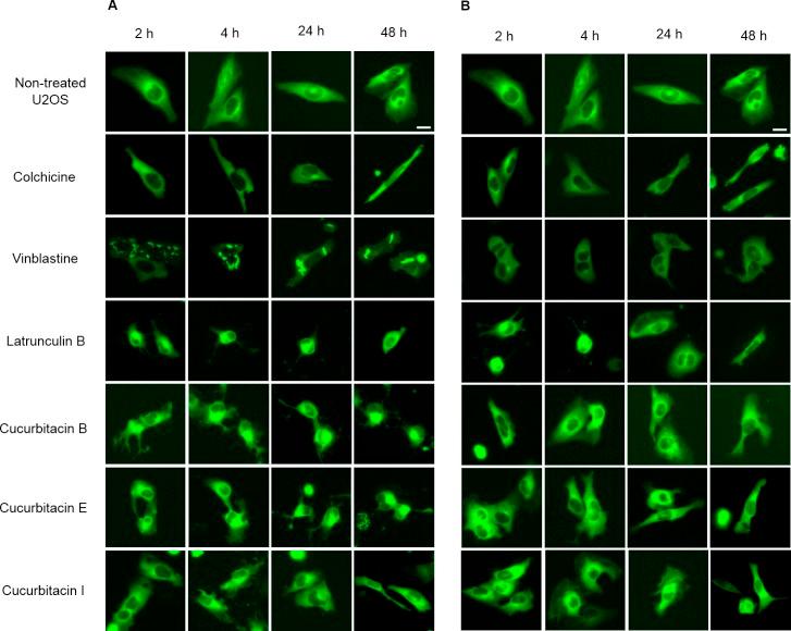 https://cdn.ncbi.nlm.nih.gov/pmc/blobs/3b91/5452965/a8f51efadb42/peerj-05-3357-g002.jpg