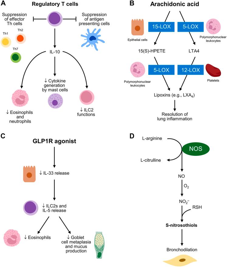 https://cdn.ncbi.nlm.nih.gov/pmc/blobs/3b92/10509980/95e42be6f06e/gr1.jpg