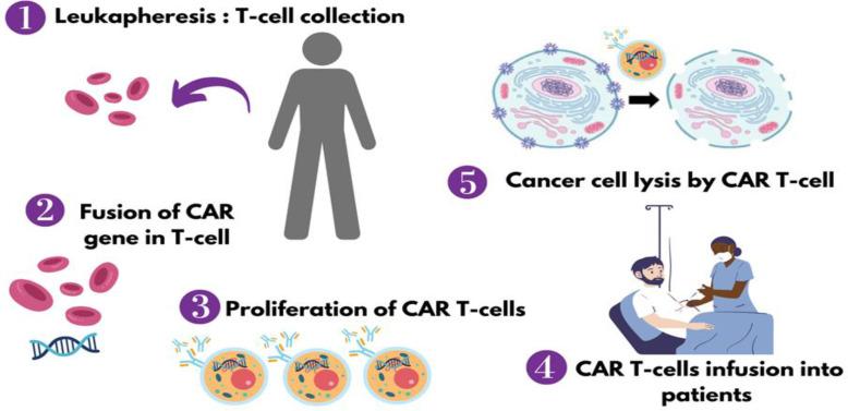 https://cdn.ncbi.nlm.nih.gov/pmc/blobs/3b92/12368713/85132abf6540/IJHOSCR-19-180-g001.jpg